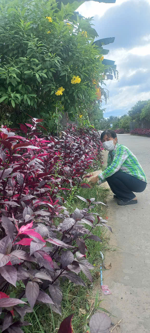 Cán bộ hội tiêu biểu trong các phong trào của Hội  và của địa phương